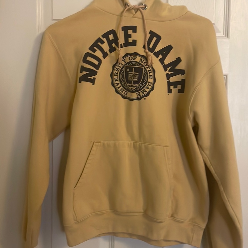 Notre Dame Champion hoodie